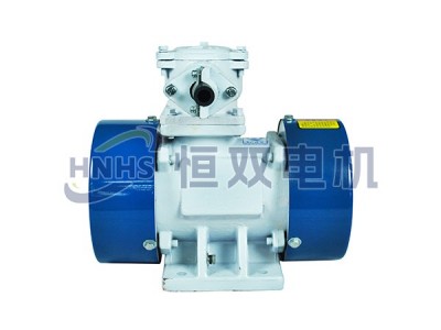 YBZD振動源隔爆型三相異步電機(jī)