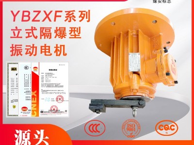 立式振動電機YBZXF系列法蘭式防爆型三相電機