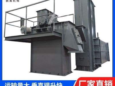 NE型板鏈式斗式提升機