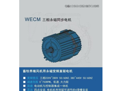 WECM 三相永磁同步電機